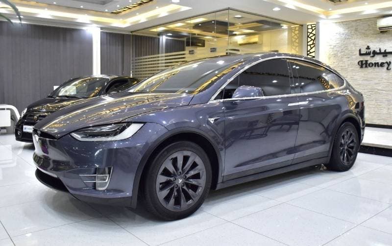 2019 Tesla Model X 100D thumbnail 4