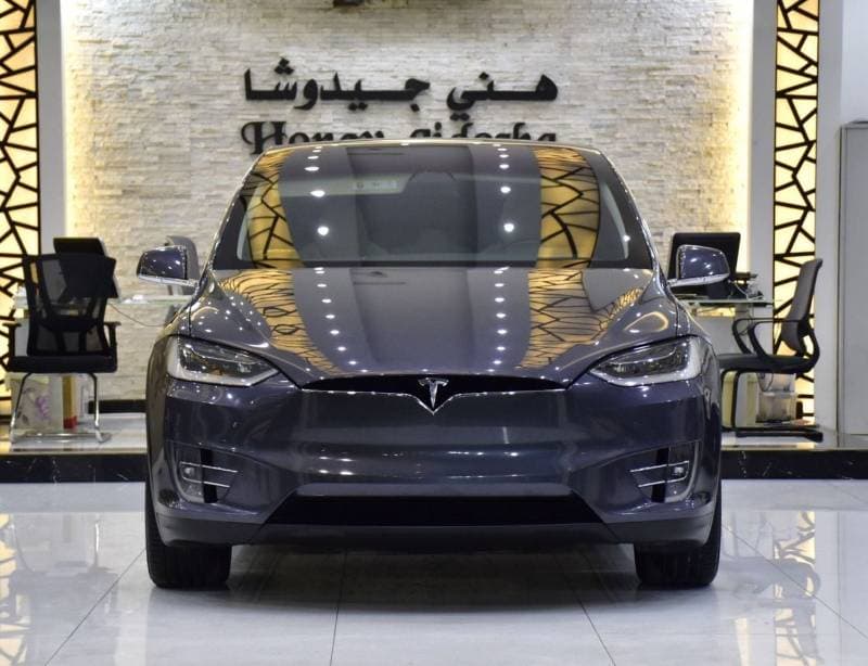 2019 Tesla Model X 100D thumbnail 2
