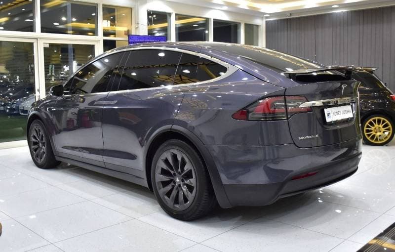 2019 Tesla Model X 100D thumbnail 8