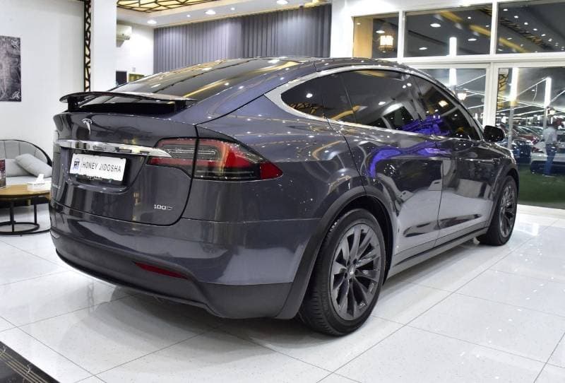 2019 Tesla Model X 100D thumbnail 7