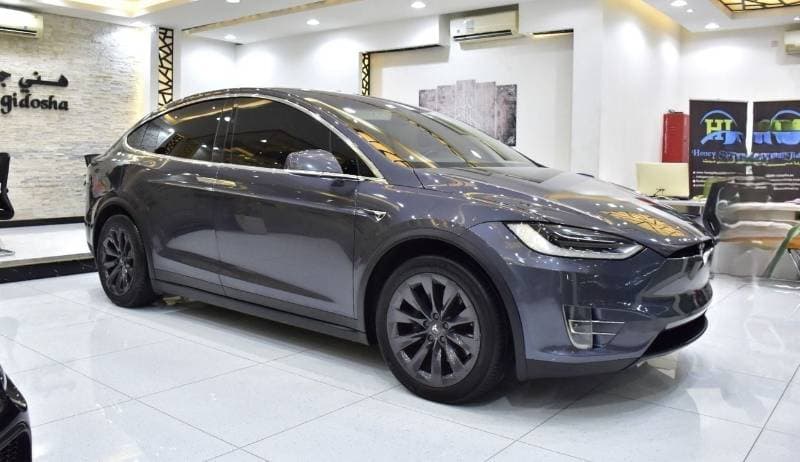 2019 Tesla Model X 100D