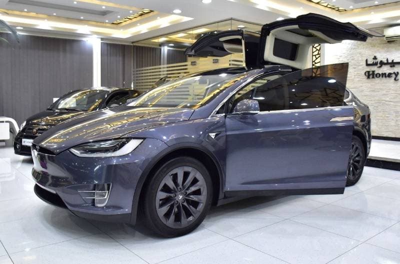 2019 Tesla Model X 100D thumbnail 3