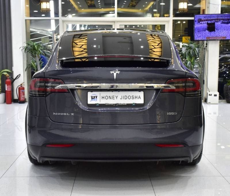 2019 Tesla Model X 100D thumbnail 6