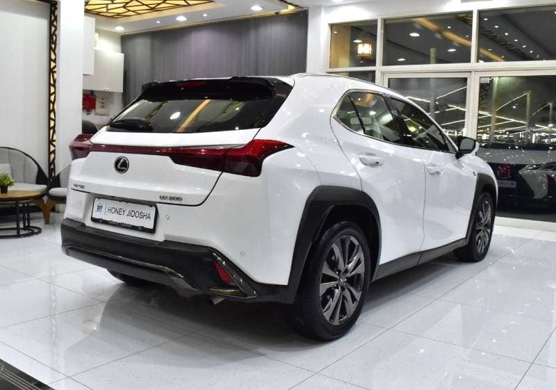 2020 Lexus UX200 F SPORT PLATINUM thumbnail 6
