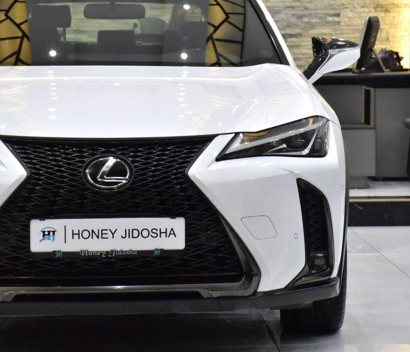 2020 Lexus UX200 F SPORT PLATINUM thumbnail 4