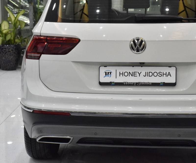2019 Volkswagen Tiguan SEL thumbnail 8