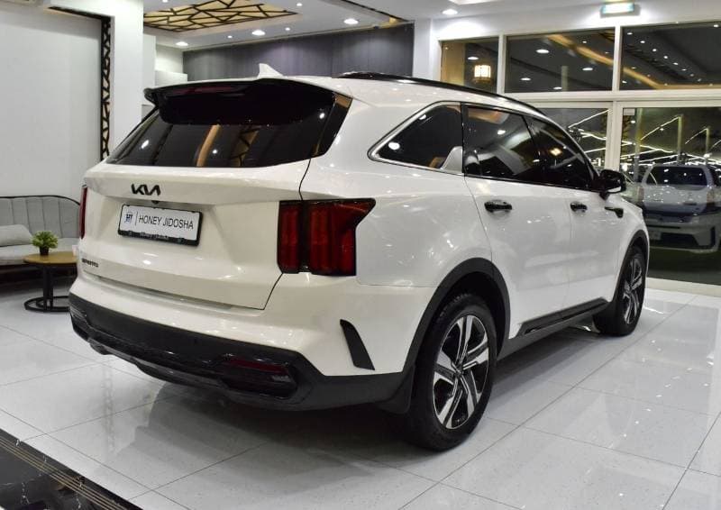 2023 Kia Sorento EX TOP thumbnail 6