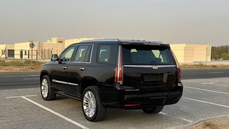 2017 Cadillac Escalade PLATINUM thumbnail 7