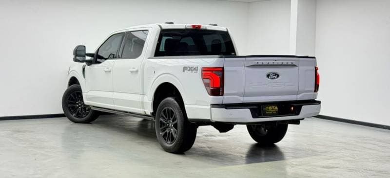 2024 Ford F 150 PLATINUM thumbnail 6
