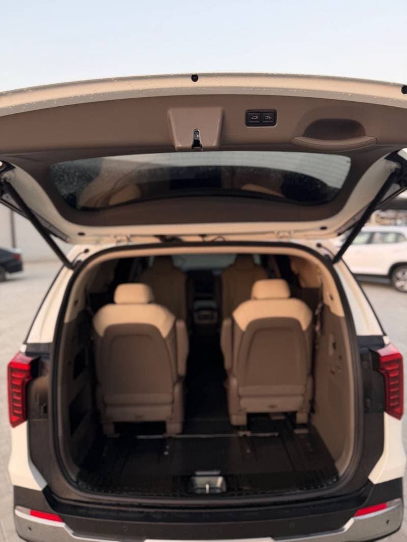 2025 Kia Carnival EX DLX thumbnail 5
