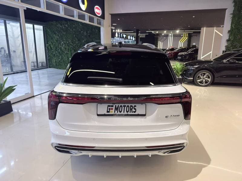 2025 HONGQI EHS9 HIGH thumbnail 6