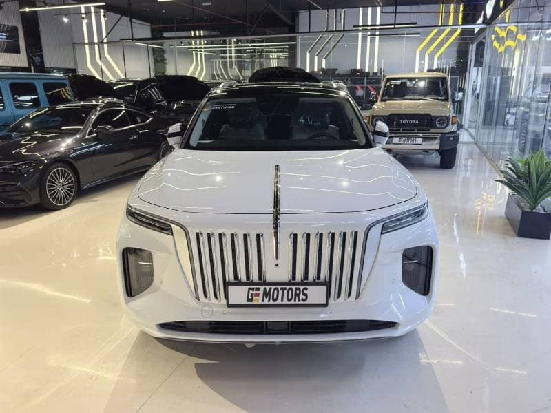 2025 HONGQI EHS9 HIGH thumbnail 3