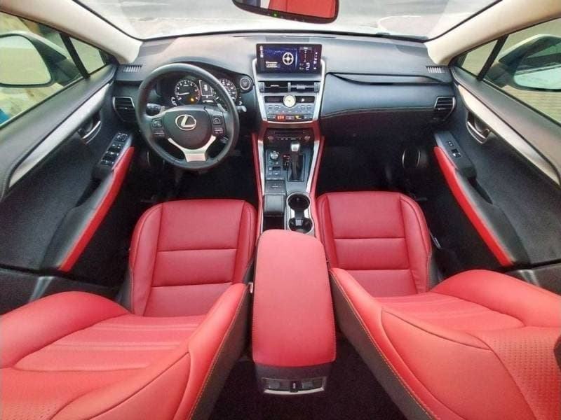 2020 Lexus NX300 F SPORT thumbnail 6