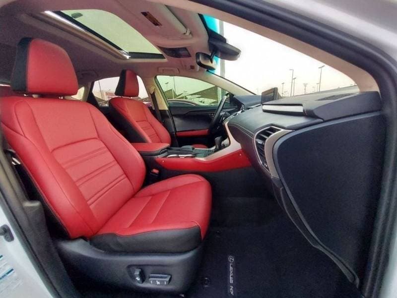 2020 Lexus NX300 F SPORT thumbnail 7