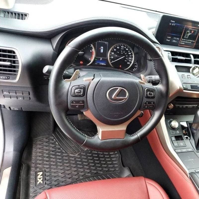 2021 Lexus NX300 PLATINUM thumbnail 6