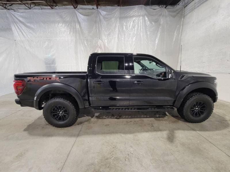 2026 Ford F 150 PLATINUM thumbnail 3