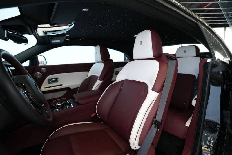 2025 Rolls Royce Spectre STANDARD thumbnail 8