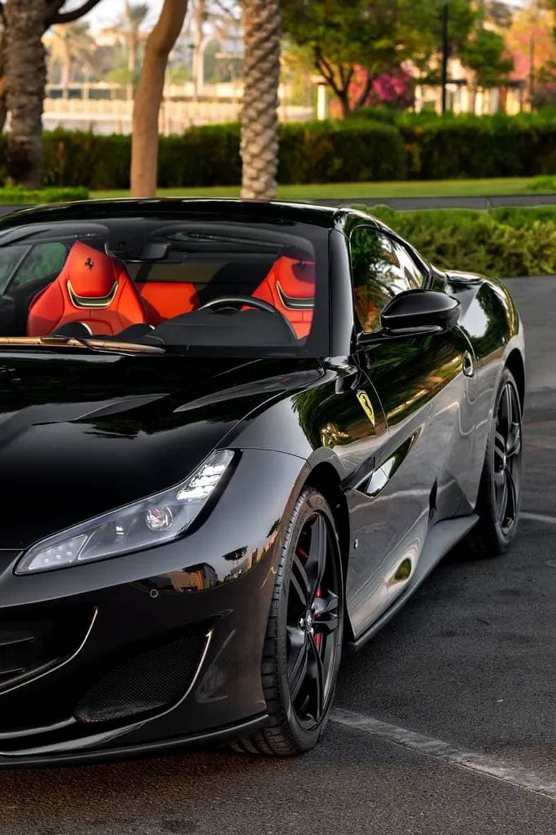 2019 Ferrari Portofino STANDARD thumbnail 6