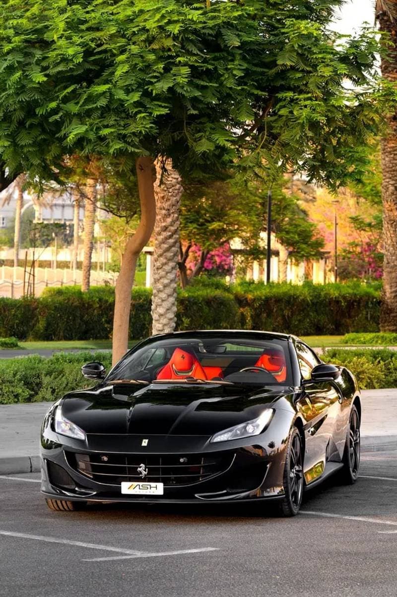 2019 Ferrari Portofino STANDARD thumbnail 2
