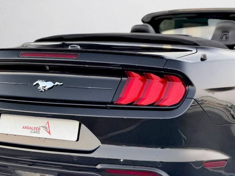 2022 Ford Mustang STANDARD thumbnail 6