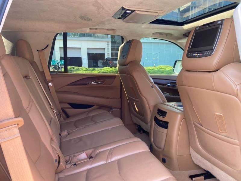 2019 Cadillac Escalade PLATINUM thumbnail 6