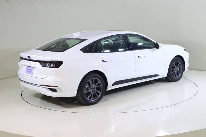2025 Ford Taurus AMBIENTE thumbnail 7
