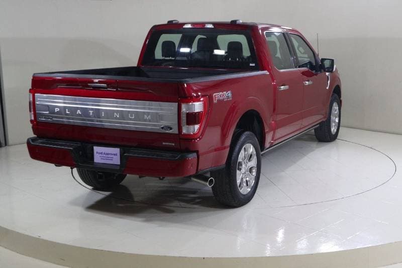 2023 Ford F 150 PLATINUM thumbnail 2