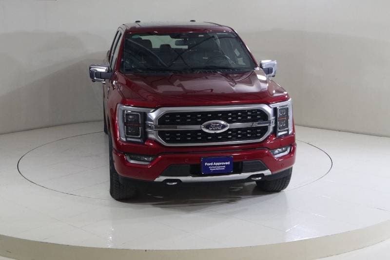 2023 Ford F 150 PLATINUM thumbnail 6