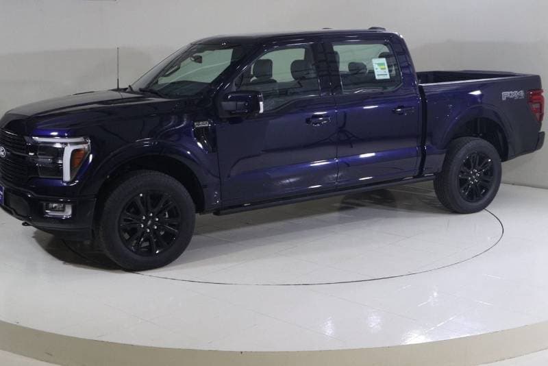 2025 Ford F 150 PLATINUM thumbnail 7