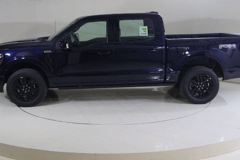 2025 Ford F 150 PLATINUM thumbnail 4