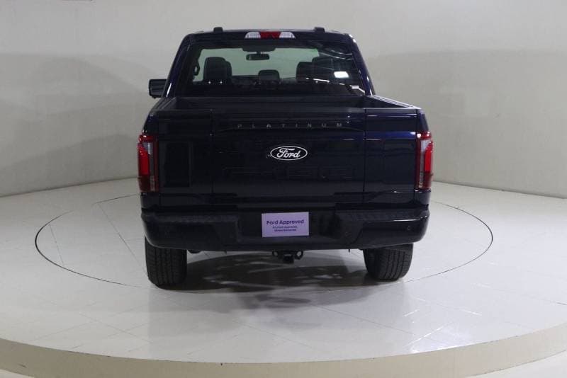 2025 Ford F 150 PLATINUM thumbnail 5
