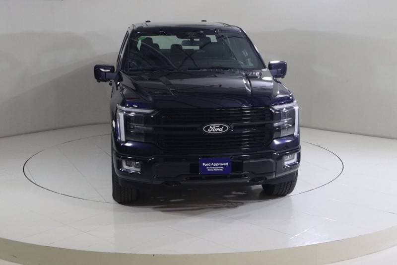 2025 Ford F 150 PLATINUM thumbnail 6