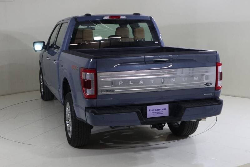 2023 Ford F 150 PLATINUM CREW CAB thumbnail 5
