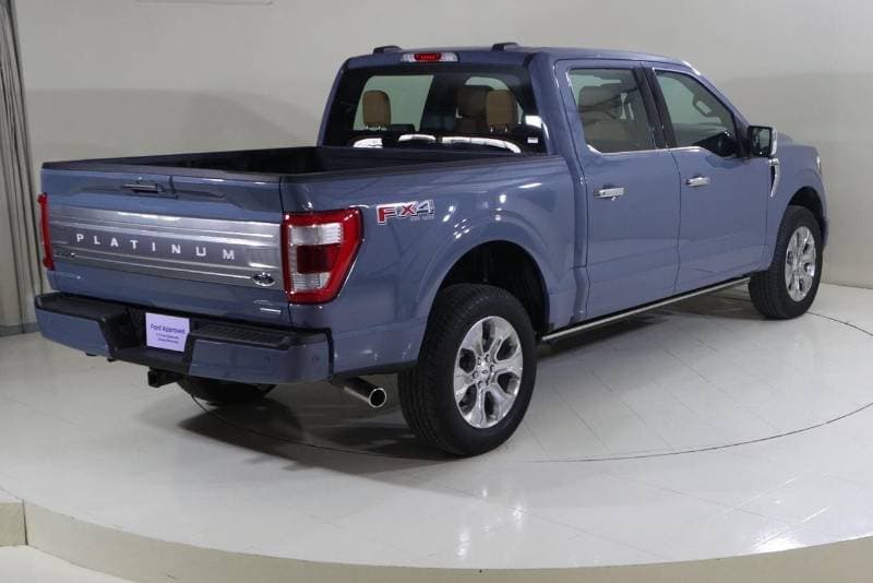 2023 Ford F 150 PLATINUM CREW CAB thumbnail 7