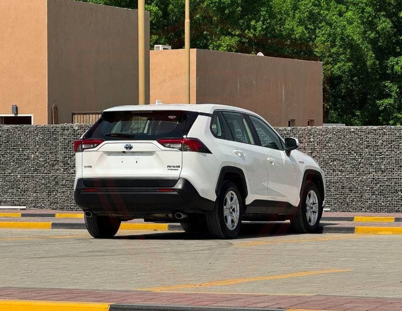 2019 Toyota RAV4 LE HEV thumbnail 7