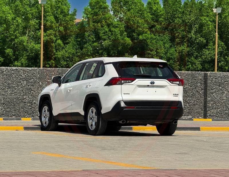 2019 Toyota RAV4 LE HEV thumbnail 5