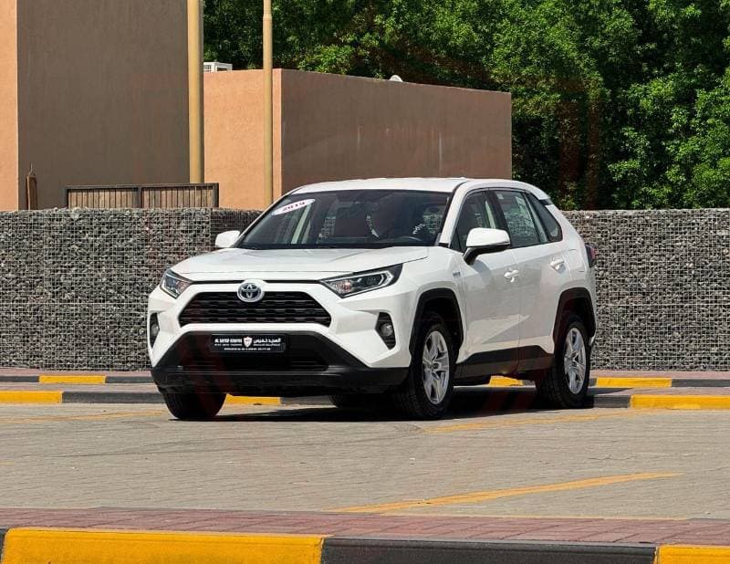 2019 Toyota RAV4 LE HEV thumbnail 3
