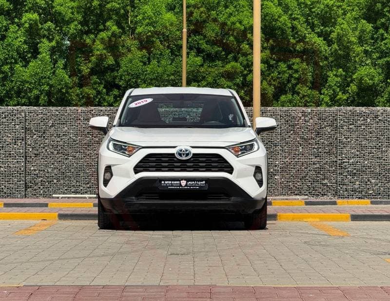 2019 Toyota RAV4 LE HEV thumbnail 2