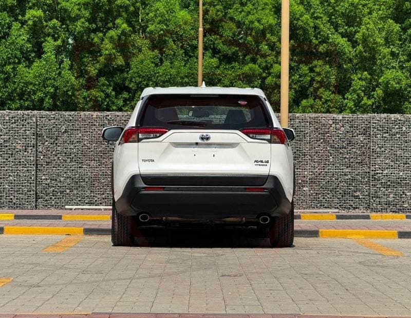2019 Toyota RAV4 LE HEV thumbnail 6