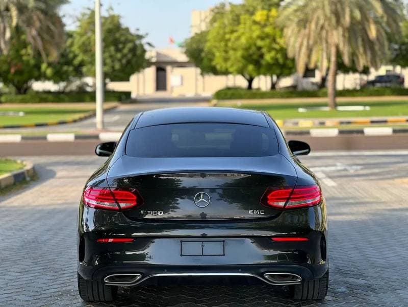 2019 Mercedes Benz C300 thumbnail 6