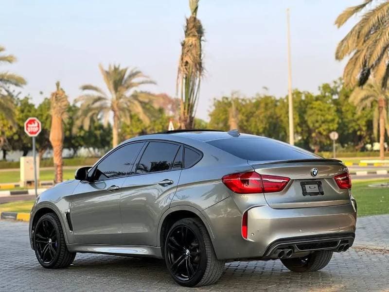 2019 BMW XM thumbnail 6