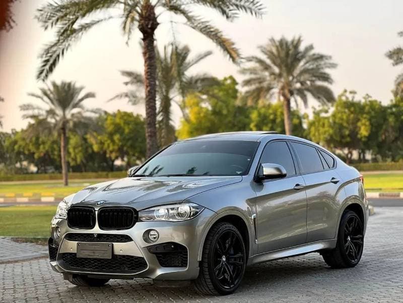 2019 BMW XM thumbnail 2