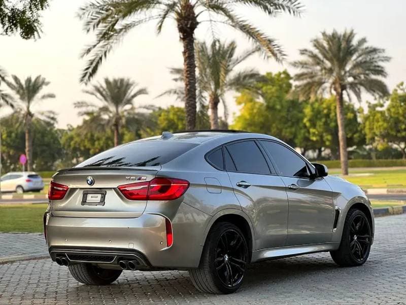 2019 BMW XM thumbnail 4