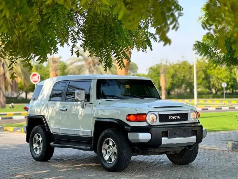 2010 Toyota FJ Cruiser BASE thumbnail 2