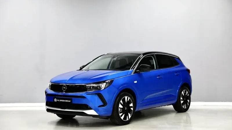 2024 Opel Grandland X thumbnail 3