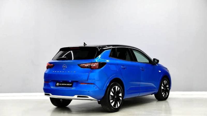 2024 Opel Grandland X thumbnail 5