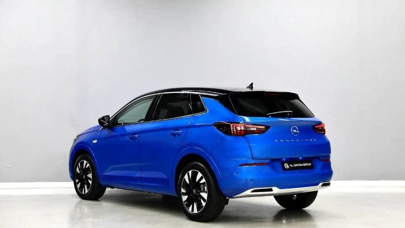 2024 Opel Grandland X thumbnail 4