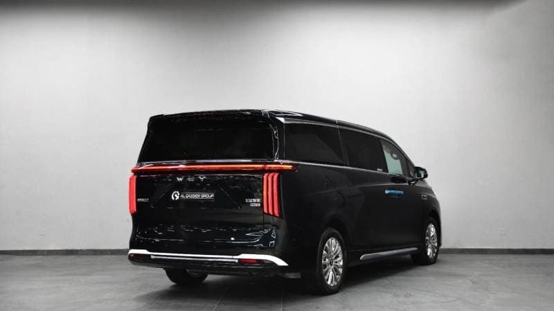 2025 GWM - WEY Gaoshan STANDARD thumbnail 6