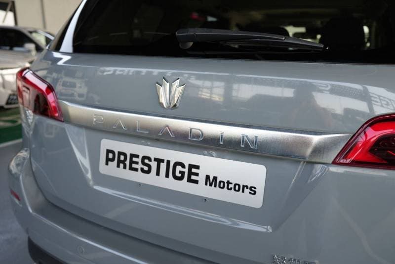 2024 Dongfeng Paladin Export thumbnail 5