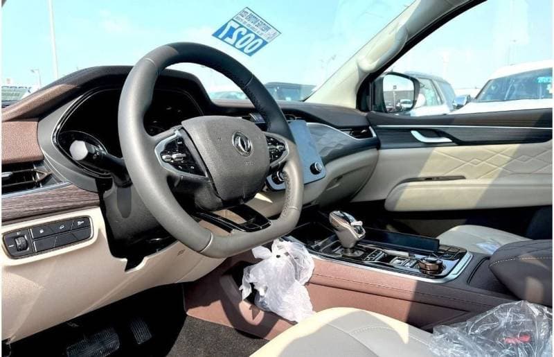 2023 Dongfeng Paladin thumbnail 8
